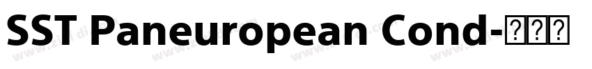 SST Paneuropean Cond字体转换